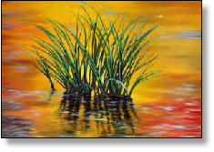 De-tijd-vliegt-40x50cm-olieverf-web.jpg