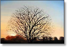 Latere-zonsondergang-50x50cm-olieverf-web.jpg