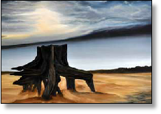 Van-de-schaduw-en-het-licht-60x60cm-olieverf-web.jpg